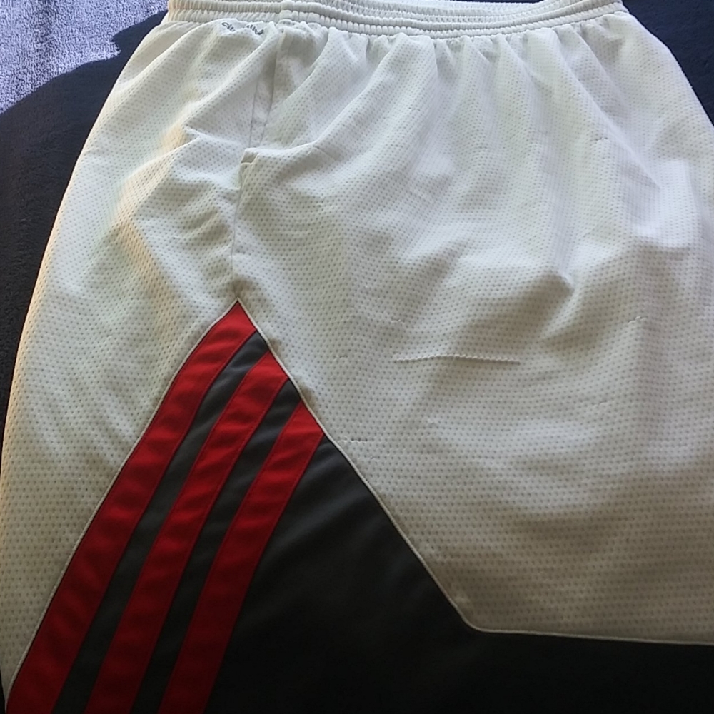 Shorts - Picture 2 of 4